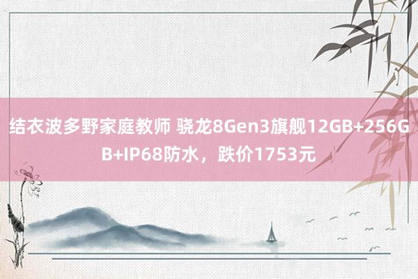结衣波多野家庭教师 骁龙8Gen3旗舰12GB+256GB+IP68防水，跌价1753元