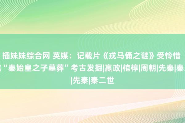 插妹妹综合网 英媒：记载片《戎马俑之谜》受怜惜 聚焦“秦始皇之子墓葬”考古发掘|嬴政|棺椁|周朝|先秦|秦二世