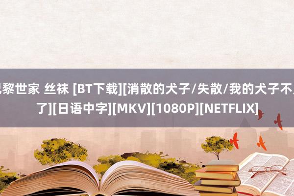 巴黎世家 丝袜 [BT下载][消散的犬子/失散/我的犬子不见了][日语中字][MKV][1080P][NETFLIX]