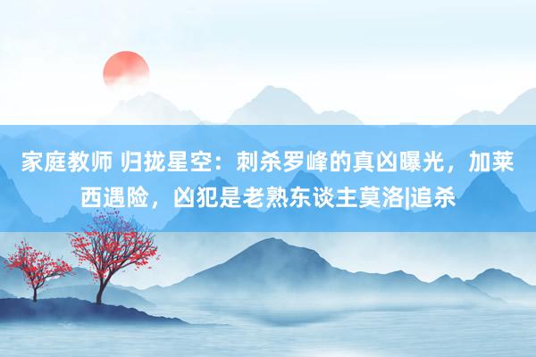 家庭教师 归拢星空：刺杀罗峰的真凶曝光，加莱西遇险，凶犯是老熟东谈主莫洛|追杀