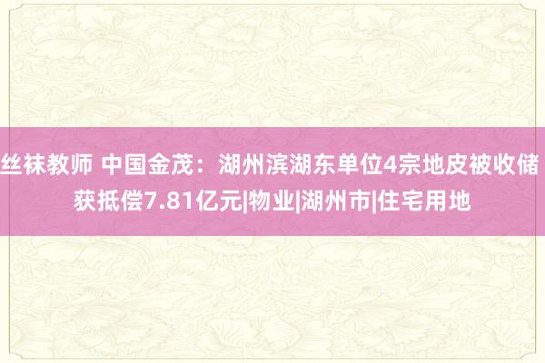 丝袜教师 中国金茂：湖州滨湖东单位4宗地皮被收储 获抵偿7.81亿元|物业|湖州市|住宅用地