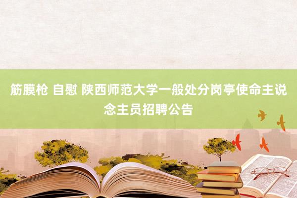 筋膜枪 自慰 陕西师范大学一般处分岗亭使命主说念主员招聘公告