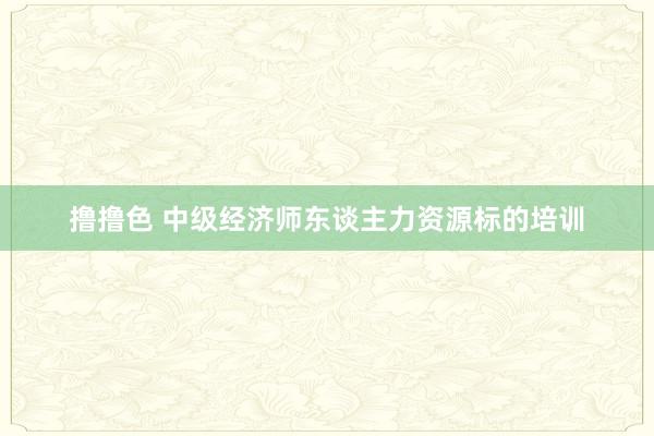 撸撸色 中级经济师东谈主力资源标的培训