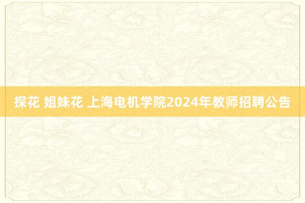 探花 姐妹花 上海电机学院2024年教师招聘公告