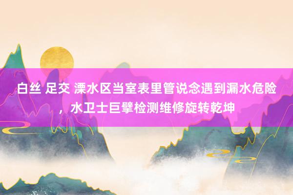 白丝 足交 溧水区当室表里管说念遇到漏水危险，水卫士巨擘检测维修旋转乾坤